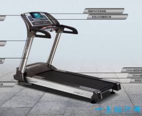 舒華跑步機(jī)領(lǐng)跑行業(yè) 十大品牌盤點(diǎn)與體育零售市場解析